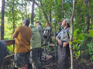 Dominica, looking for parrots