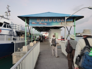 Next day - day trip to Barbuda