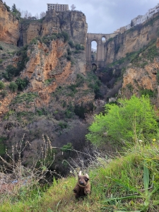 Another view of the Puente Nuevo