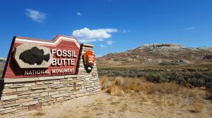 Fossil Butte NM, WY