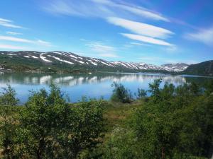 On the Bergen Railway