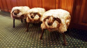 Sheep in the hotel!
