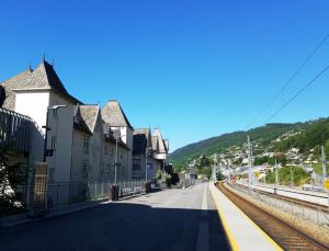 Fleischer's Hotel, Voss