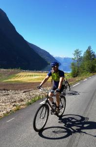 Cycling along the Ulvikfjord