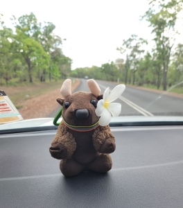 Driving out of Kakadu