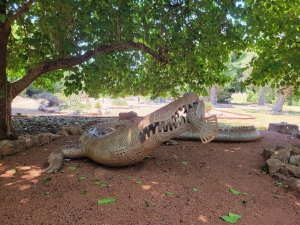 Crocodile art