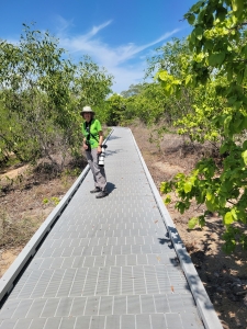 East Point Mangrove Boardwalk