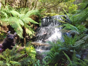 Silver Falls, Pipeline Track