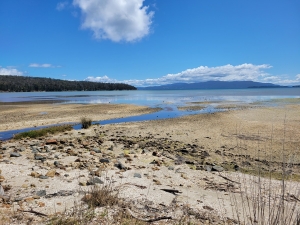 On Bruny Island, TAS