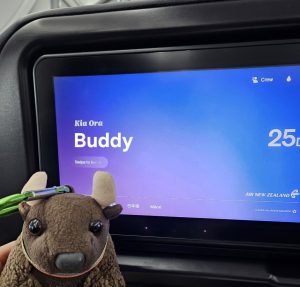 Traveling in style on Air New Zealand