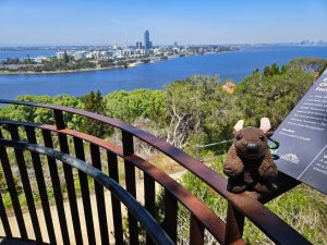 Perth view from King's Park