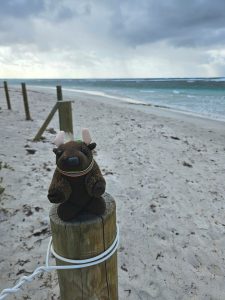On the beach at West End