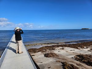 Along the Indian Ocean Road