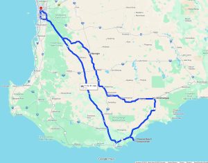 Tour #2 - Southwest Endemics