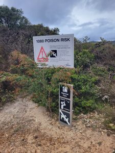 Poison for fox, feral cat control