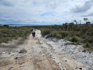 Morning birding at Cheynes Beach