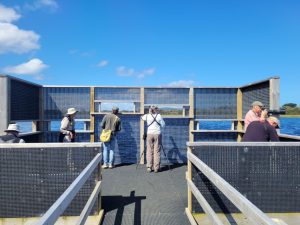 Hide at Lake Seppings