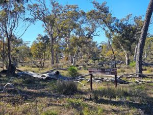 Stirling Range National Park