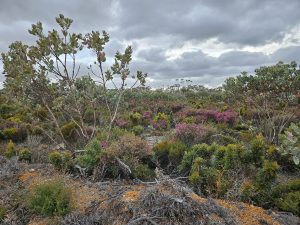 Rob's Road, Jerramungup