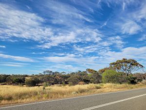 En route to Mount Magnet