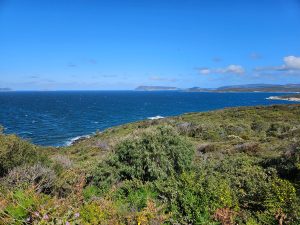 Port Albany