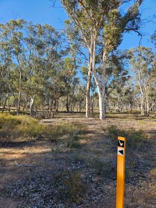 Dryandra State Forest (note the Fairywren trail sign)