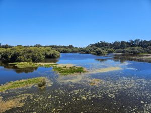Whiteman Park