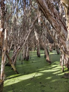 Moondine Park, Perth