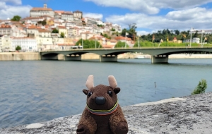 Coimbra!