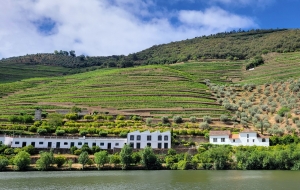 Boat ride, Douro day trip