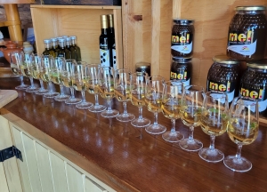 Quinta do Jalloto, Douro day trip