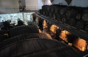 Quinta de Santa Eufémia, Douro day trip