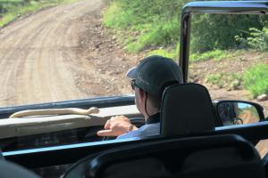 Fake Mozambican Puff Adder