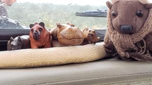 With my dashboard friends!