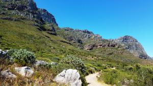 Camps Bay Pipe Track hike