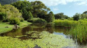 Kirstenbosch Botanical Garden