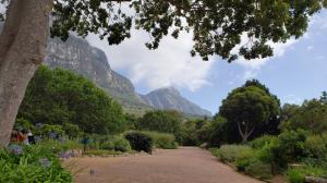 Kirstenbosch Botanical Garden