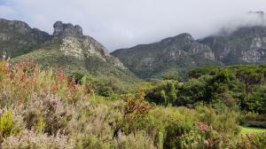 Kirstenbosch Botanical Garden