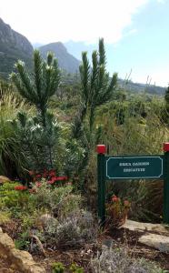 Kirstenbosch Botanical Garden
