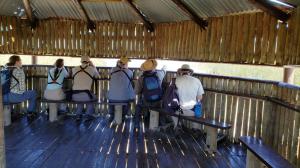 Rondevlei Bird Sanctuary, False Bay