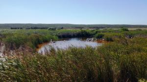 West Coast National Park