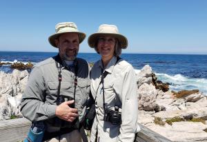 Stony Point Penguin Colony, Betty's Bay