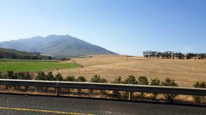 Fields en route back to Cape Town