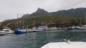 Pelagic out of Hout Bay