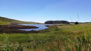 Dullstroom Nature Reserve