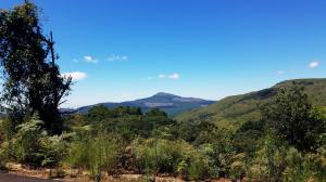 Mount Sheba!