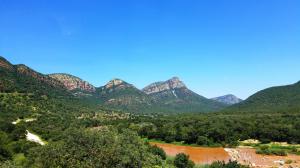 Driving from the Taita Falcon site