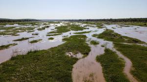 Olifants River