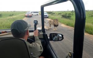Lions! Yes they were close