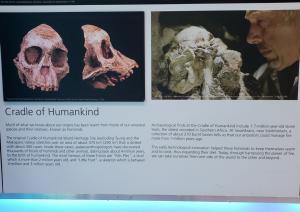 Cradle of Humankind